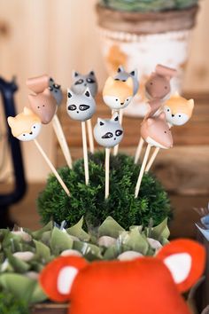 cakepop bosque encantado