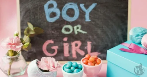 ideas para revelación de genero